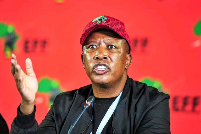 Instantly recognizable by his red beret and EFF attire, Julius Malema stands as a powerful voice in South African politics. As the leader of the Economic Freedom Fighters, he consistently advocates for land reform and economic justice.