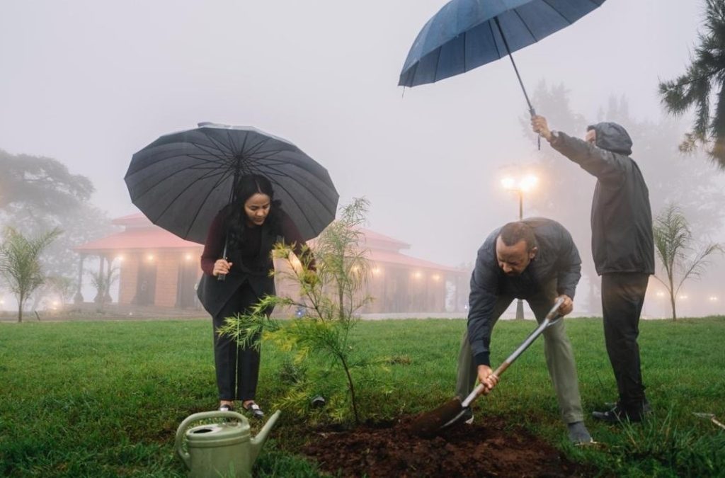 Ethiopia's Green Legacy A Model for Climate Resilience or a PR Stunt