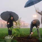 Ethiopia's Green Legacy A Model for Climate Resilience or a PR Stunt