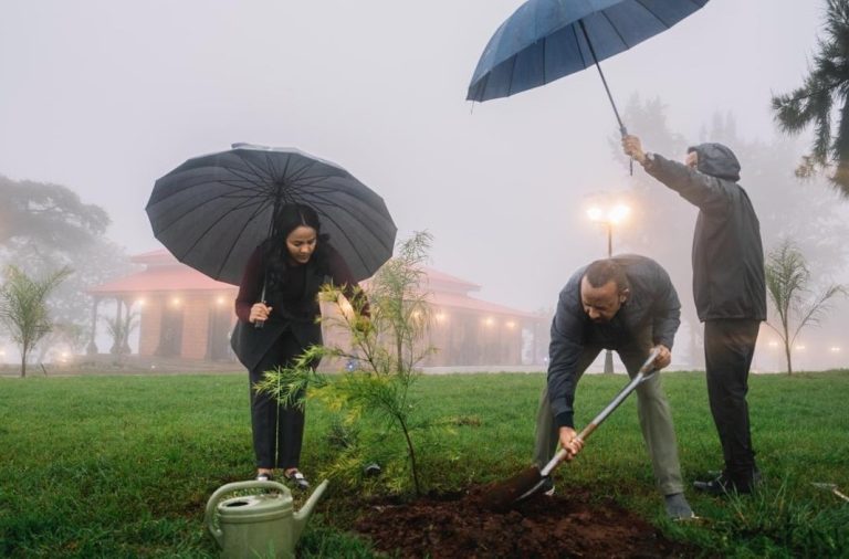Ethiopia's Green Legacy A Model for Climate Resilience or a PR Stunt