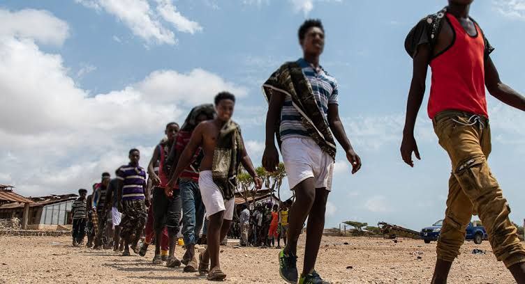 A Nation on the Move-The Economic and Human Toll of Ethiopia's Mass Migration