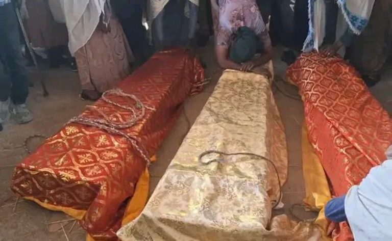 Orthodox Church Cites 25+ Civilian Deaths in Ethiopia