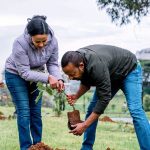 How Ethiopia’s Single-Day Reforestation Push Fits into Horn of Africa Climate Adaptation Strategy
