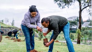 How Ethiopia’s Single-Day Reforestation Push Fits into Horn of Africa Climate Adaptation Strategy
