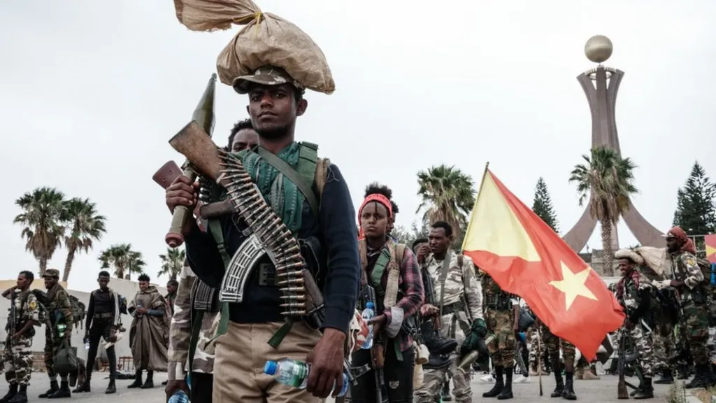 Many people in Ethiopia's Tigray region joined the fight against the federal government and its allies