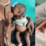 Deadly Ethiopia-Kenya Border Clashes in Moyale: Flag Dispute Triggers Acute Humanitarian Crisis and Cross-Border Displacement