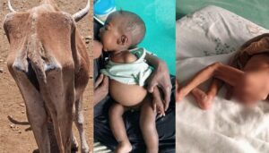 Severe Drought and Ongoing Conflict Push Millions to the Brink of Starvation in Amhara and Tigray